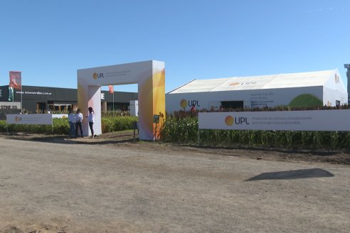 Postales de la Expoagro 2024 - Autodromo de San Nicolás - Pcia.de Buenos Aires