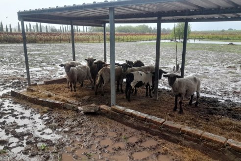 Es razonable esperar más lluvias, al menos hasta el domingo