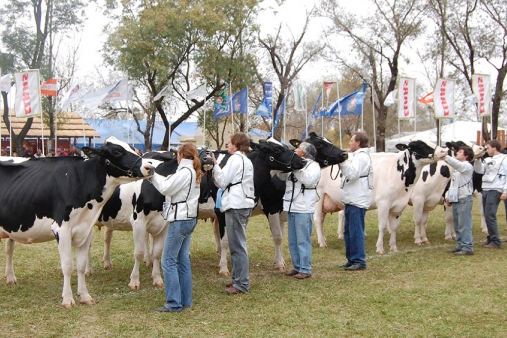 La jura de Holando Argentino con jurados internacionales, un sello distintivo.