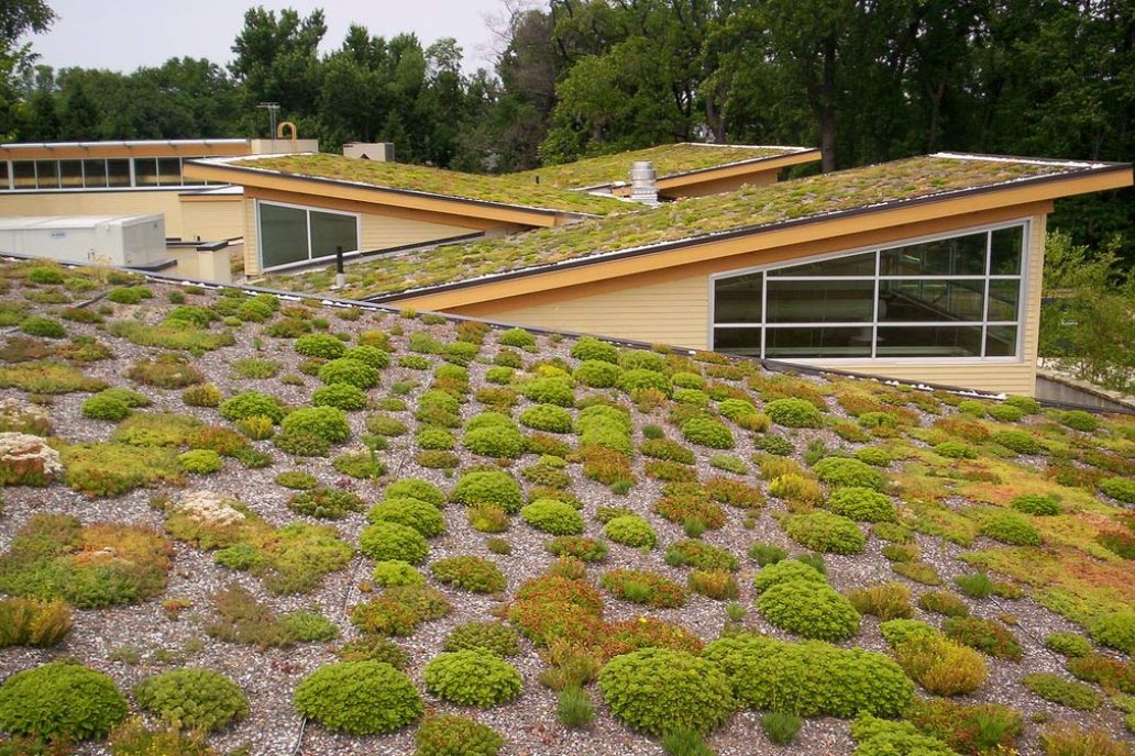 La técnica favorece el bajo consumo de energía. Foto gentileza Paisajismodigital