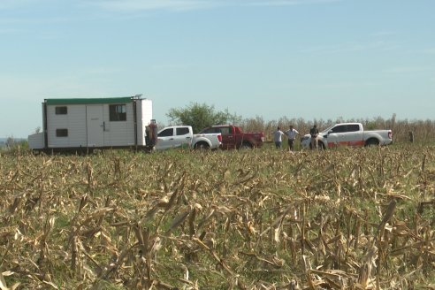 Cosecha de Maiz y Recorrida por Ensayos de Hibridos junto a Agrofe Campo y KWS en Victoria