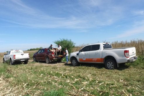 Cosecha de Maiz y Recorrida por Ensayos de Hibridos junto a Agrofe Campo y KWS en Victoria