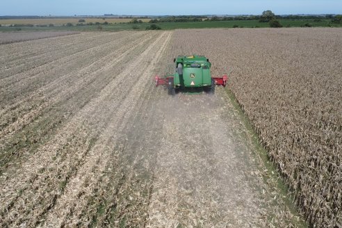 Cosecha de Maiz y Recorrida por Ensayos de Hibridos junto a Agrofe Campo y KWS en Victoria