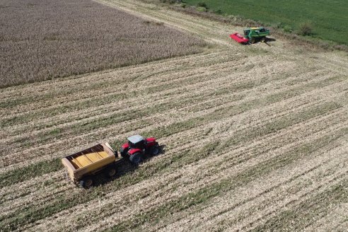 Cosecha de Maiz y Recorrida por Ensayos de Hibridos junto a Agrofe Campo y KWS en Victoria