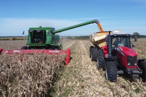 Cosecha de Maiz y Recorrida por Ensayos de Hibridos junto a Agrofe Campo y KWS en Victoria