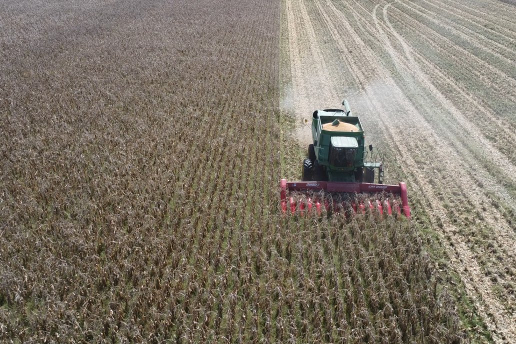 El promedio provincial ronda los 7.400 kilos por hectárea.