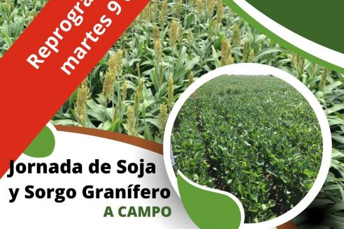 Jornada de soja y sorgo granífero