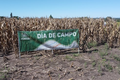 Dia a Campo Pioneer - Agroservicios Paraná SRL -   La Picada, Entre Ríos