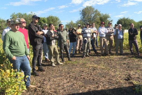 Dia a Campo Pioneer - Agroservicios Paraná SRL -   La Picada, Entre Ríos