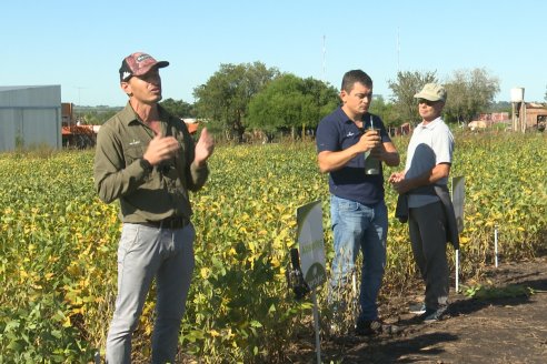 Dia a Campo Pioneer - Agroservicios Paraná SRL -   La Picada, Entre Ríos