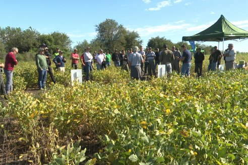 Dia a Campo Pioneer - Agroservicios Paraná SRL -   La Picada, Entre Ríos