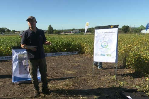 Dia a Campo Pioneer - Agroservicios Paraná SRL -   La Picada, Entre Ríos