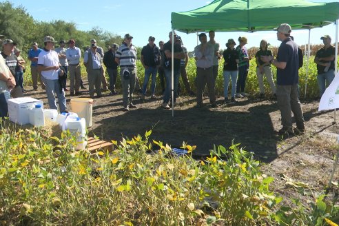 Dia a Campo Pioneer - Agroservicios Paraná SRL -   La Picada, Entre Ríos