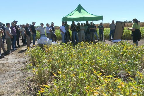 Dia a Campo Pioneer - Agroservicios Paraná SRL -   La Picada, Entre Ríos