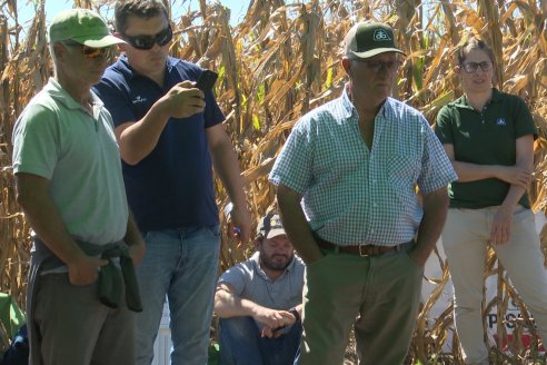 Dia a Campo Pioneer - Agroservicios Paraná SRL -   La Picada, Entre Ríos