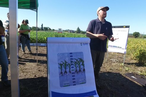 Dia a Campo Pioneer - Agroservicios Paraná SRL -   La Picada, Entre Ríos