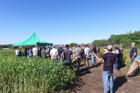 Dia a Campo Pioneer - Agroservicios Paraná SRL -   La Picada, Entre Ríos