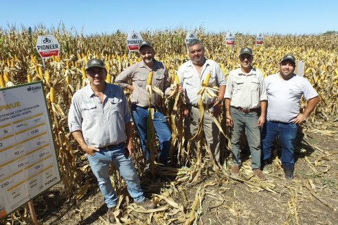 Dia a Campo Pioneer - Agroservicios Paraná SRL -   La Picada, Entre Ríos