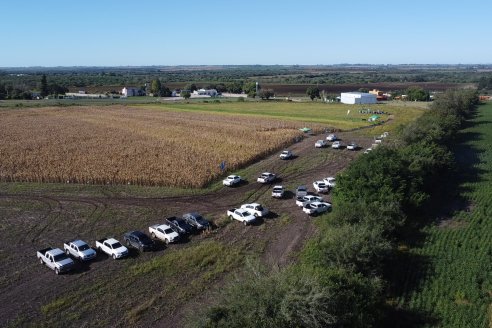 Dia a Campo Pioneer - Agroservicios Paraná SRL -   La Picada, Entre Ríos