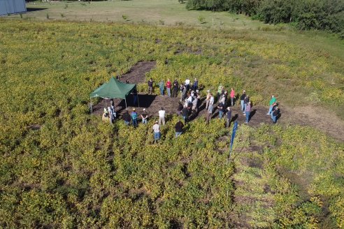 Dia a Campo Pioneer - Agroservicios Paraná SRL -   La Picada, Entre Ríos