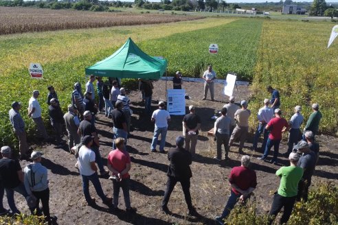 Dia a Campo Pioneer - Agroservicios Paraná SRL -   La Picada, Entre Ríos