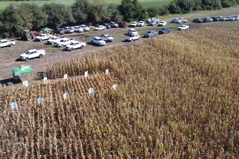 Dia a Campo Pioneer - Agroservicios Paraná SRL -   La Picada, Entre Ríos