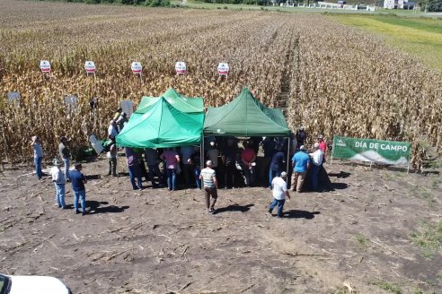 Dia a Campo Pioneer - Agroservicios Paraná SRL -   La Picada, Entre Ríos