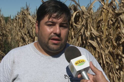 Dia a Campo Pioneer - Agroservicios Paraná SRL -   La Picada, Entre Ríos