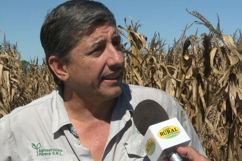 Dia a Campo Pioneer - Agroservicios Paraná SRL -   La Picada, Entre Ríos