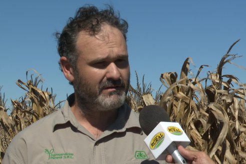 Dia a Campo Pioneer - Agroservicios Paraná SRL -   La Picada, Entre Ríos