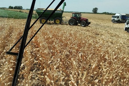 Para Federación Agraria, la mayoría de los valores de los frutos del campo están distorcionados