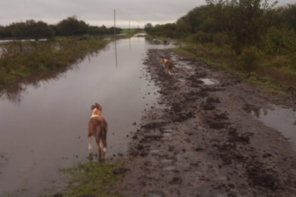 El estado de los caminos complica y todos miran a ver que hace Vialidad.