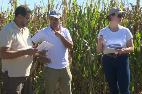 Jornada Técnica a Campo - Ensayo Comparativo de Rendimiento en Maiz Tardio del CIAV - Establ.San Daniel.  Victoria, Entre Ríos