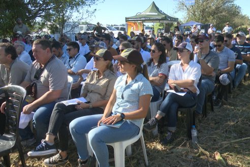 Jornada Técnica a Campo - Ensayo Comparativo de Rendimiento en Maiz Tardio del CIAV - Establ.San Daniel.  Victoria, Entre Ríos