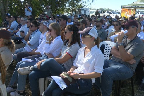 Jornada Técnica a Campo - Ensayo Comparativo de Rendimiento en Maiz Tardio del CIAV - Establ.San Daniel.  Victoria, Entre Ríos