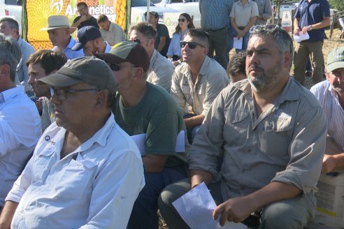 Jornada Técnica a Campo - Ensayo Comparativo de Rendimiento en Maiz Tardio del CIAV - Establ.San Daniel.  Victoria, Entre Ríos