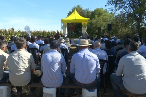 Jornada Técnica a Campo - Ensayo Comparativo de Rendimiento en Maiz Tardio del CIAV - Establ.San Daniel.  Victoria, Entre Ríos