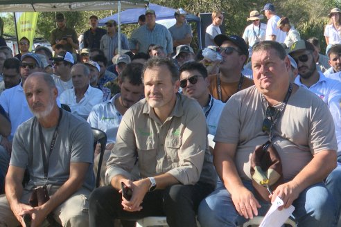 Jornada Técnica a Campo - Ensayo Comparativo de Rendimiento en Maiz Tardio del CIAV - Establ.San Daniel.  Victoria, Entre Ríos