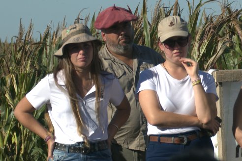 Jornada Técnica a Campo - Ensayo Comparativo de Rendimiento en Maiz Tardio del CIAV - Establ.San Daniel.  Victoria, Entre Ríos