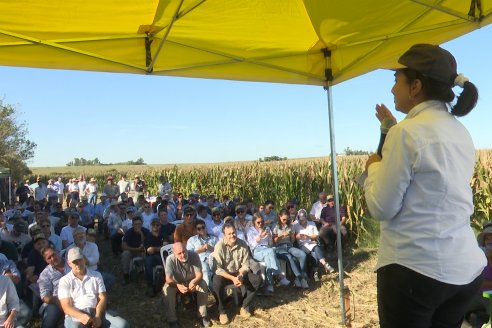 Jornada Técnica a Campo - Ensayo Comparativo de Rendimiento en Maiz Tardio del CIAV - Establ.San Daniel.  Victoria, Entre Ríos