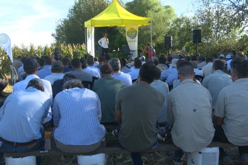 Jornada Técnica a Campo - Ensayo Comparativo de Rendimiento en Maiz Tardio del CIAV - Establ.San Daniel.  Victoria, Entre Ríos