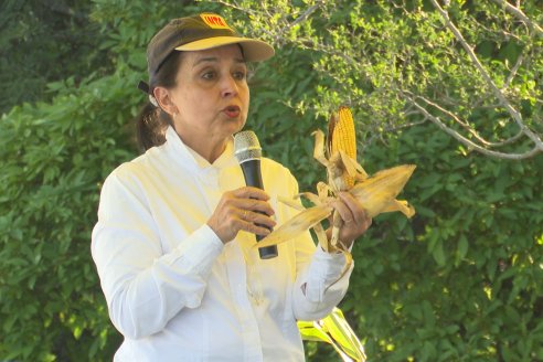 Jornada Técnica a Campo - Ensayo Comparativo de Rendimiento en Maiz Tardio del CIAV - Establ.San Daniel.  Victoria, Entre Ríos