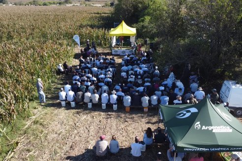 Jornada Técnica a Campo - Ensayo Comparativo de Rendimiento en Maiz Tardio del CIAV - Establ.San Daniel.  Victoria, Entre Ríos