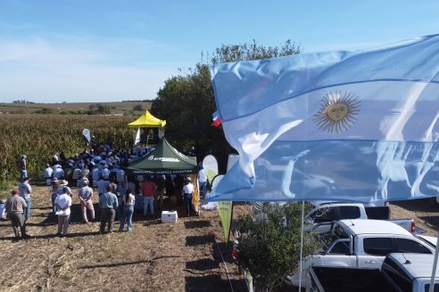 Jornada Técnica a Campo - Ensayo Comparativo de Rendimiento en Maiz Tardio del CIAV - Establ.San Daniel.  Victoria, Entre Ríos