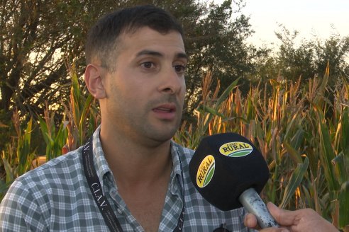 Jornada Técnica a Campo - Ensayo Comparativo de Rendimiento en Maiz Tardio del CIAV - Establ.San Daniel.  Victoria, Entre Ríos