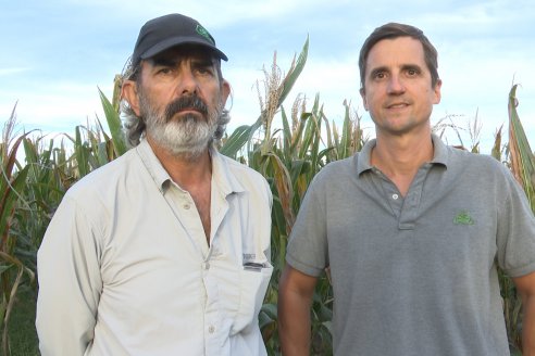 Jornada Técnica a Campo - Ensayo Comparativo de Rendimiento en Maiz Tardio del CIAV - Establ.San Daniel.  Victoria, Entre Ríos