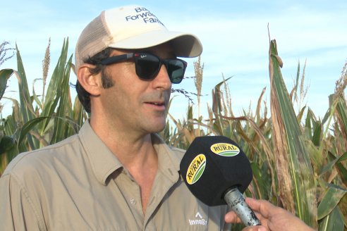 Jornada Técnica a Campo - Ensayo Comparativo de Rendimiento en Maiz Tardio del CIAV - Establ.San Daniel.  Victoria, Entre Ríos