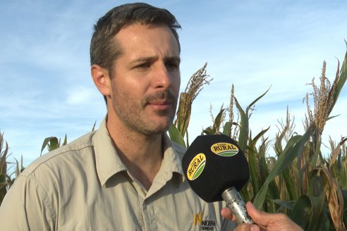 Jornada Técnica a Campo - Ensayo Comparativo de Rendimiento en Maiz Tardio del CIAV - Establ.San Daniel.  Victoria, Entre Ríos