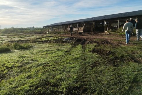 Despoblaron una granja y ordenaron el cese de actividades