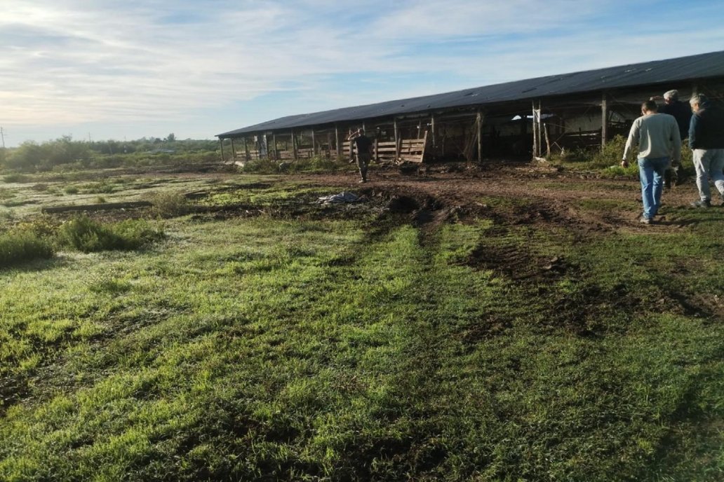 Comprobaron que se cometió contaminación ambiental y clausuraron el lugar. Comprobaron que se cometió contaminación ambiental y clausuraron el lugar.